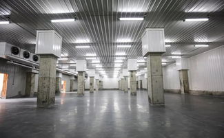 如何摆脱农产品贮存损耗窘境