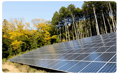 建国大学本科专业介绍 工科学院 社会环境工程系