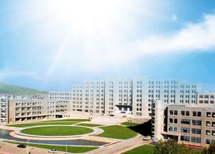 大连工业大学有什么一本系