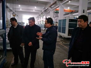 国家食用菌装备产业技术创新战略联盟理事长刘兵一行到弗德里希新能源科技 杭州 参观考察