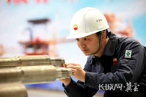 中石油渤装能克公司王显林获沧州市政府质量奖个人奖