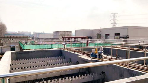 速度返场 开足马力 钟楼项目建设开启 春忙模式