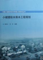 中国小城镇给水排水工程规划 环境工程的实践与挑战