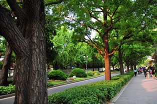 环境工程资质代办要求